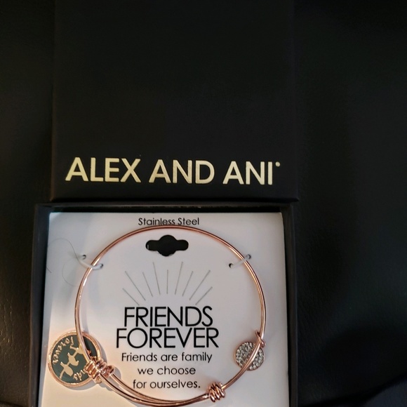 Alex and Ani Jewelry | Alex And Ani Friends Forever Nwt | Poshmark